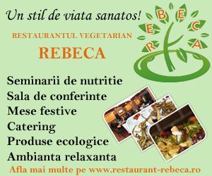 Intercer promovare website