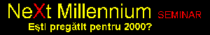 Romanian NeXt Millennium Seminar